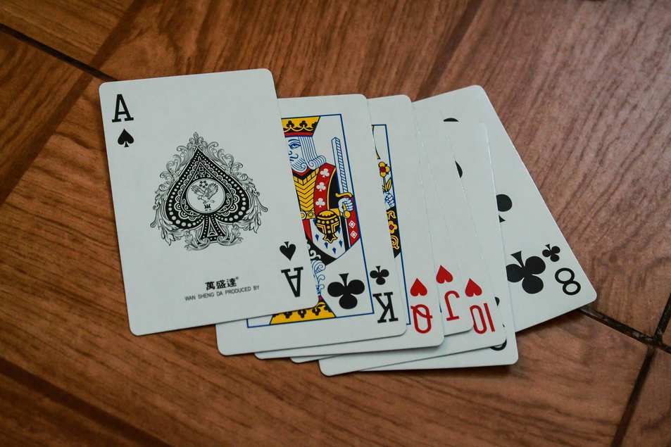 https://robocatcasinono.com https://robocatcasinono.com